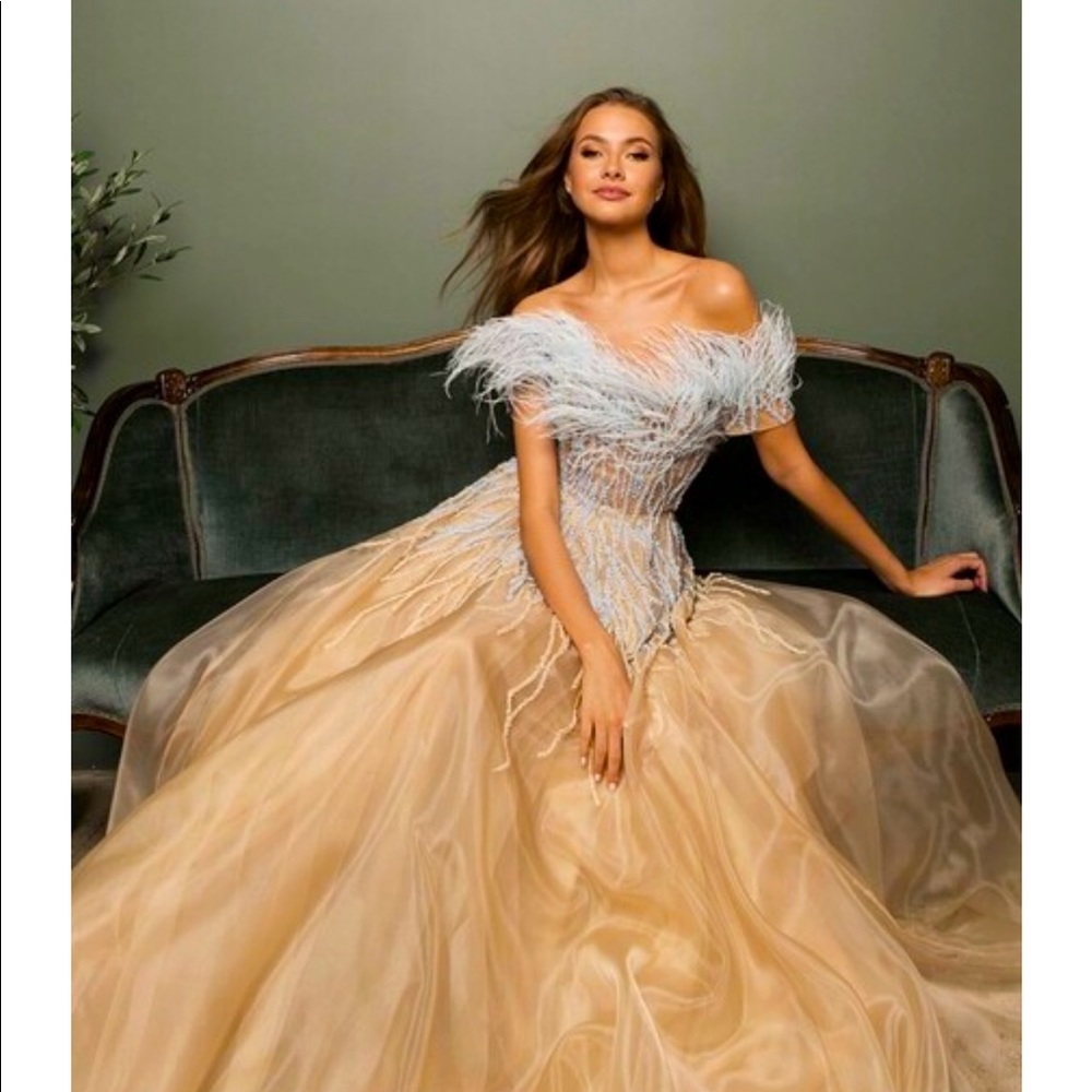 O'Blanc

Embroidered and Feathered Tulle Gown